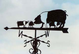 Saddleback Family weather vane